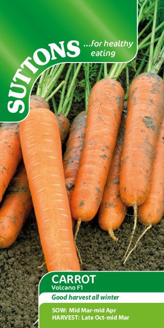 SUTTONS Carrot Volcano F1 Seeds