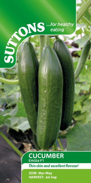 SUTTONS Suttons Cucumis Sativus Emilie Cucumber F1 Seeds