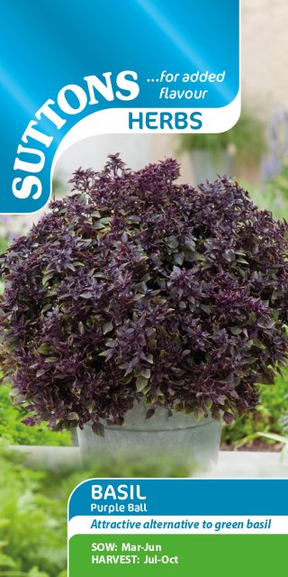 SUTTONS Suttons Herb Basil Purple Ball Seeds