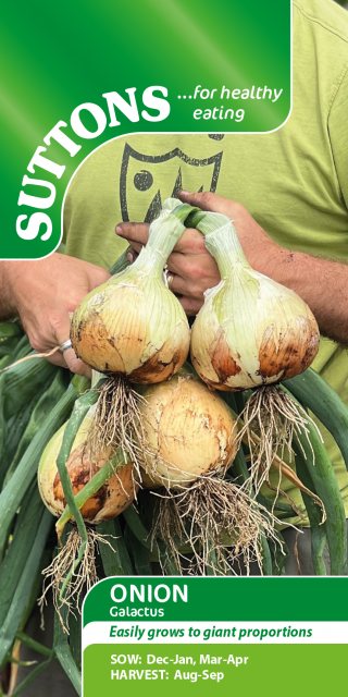 SUTTONS Suttons Onion Allium Cepa Galactus Seeds