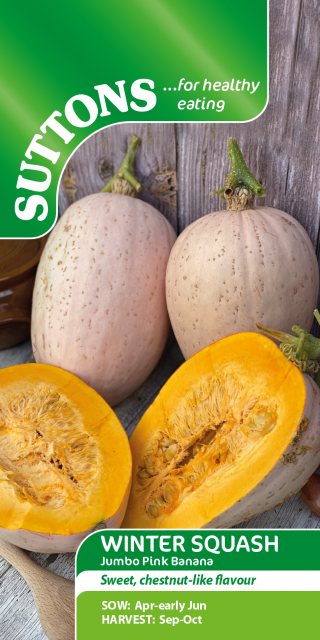 SUTTONS Suttons Winter Jumbo Pink Banana Squash Seeds