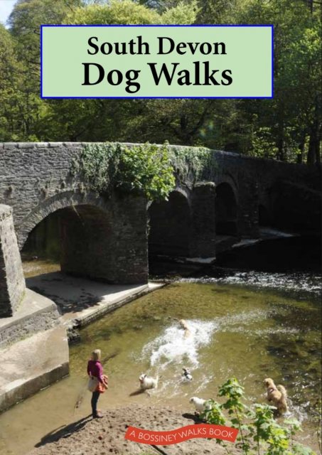 South Devon Dog Walks