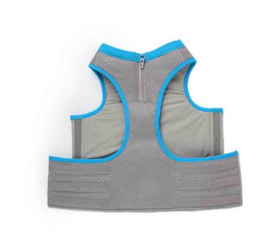 All For Paws All For Paws Chill Out Cooling Vest
