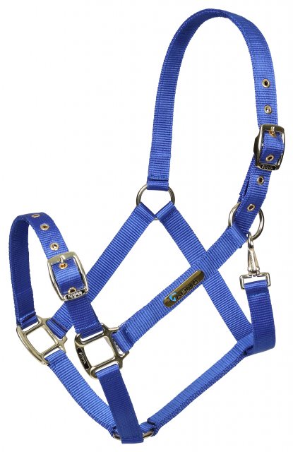 Arma Shires Arma Adjustable Headcollar Blue