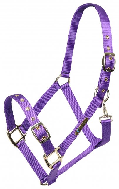 Arma Shires Arma Adjustable Headcollar Purple