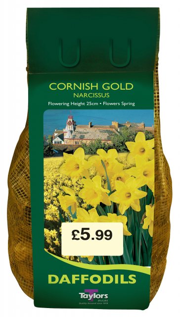 Taylors Bulbs Taylor's Bulbs Narcissi Cornish Gold Carri-Pack