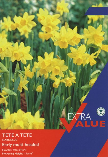 Taylors Bulbs Taylor's Bulbs Narcissi Tete A Tete 25 Bulbs