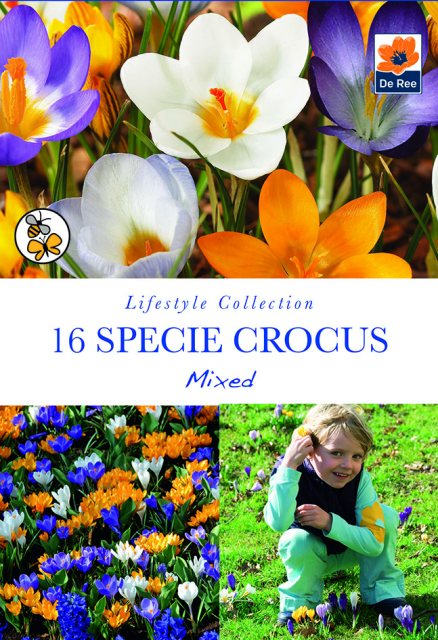 De Ree De Rees Specie Crocus Mixed Bulbs