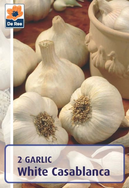 De Ree De Rees Garlic White Casablanca Bulbs