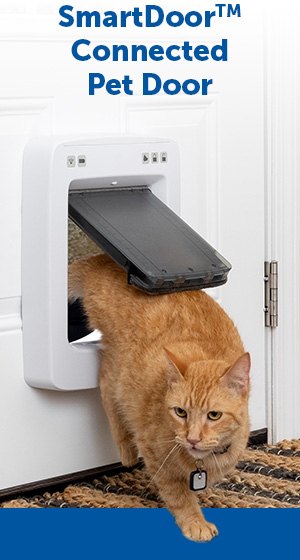 PETSAFE PetSafe Microchip Cat Flap