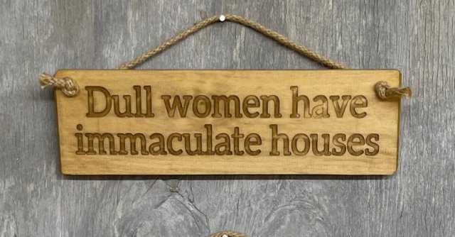RAGDOLL Novelty Dull Women Have Immaculate Houses Wooden Sign 30cm