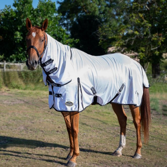 Gallop Equestrian Gallop Classic Fly Combo Rug White