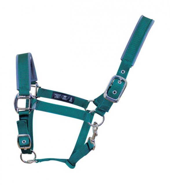 Woofwear Woof Wear Contour Head Collar British Racing Green