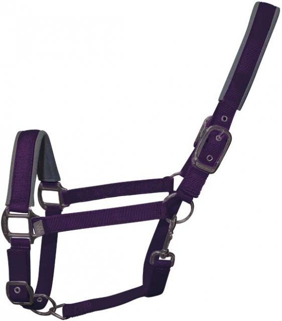 Woofwear Woof Wear Contour Head Collar Damson Cob