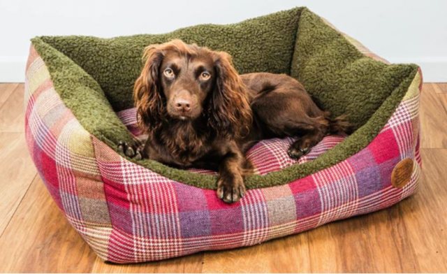 Snug & Cosy Snug & Cosy Highland Mulberry Dog Bed