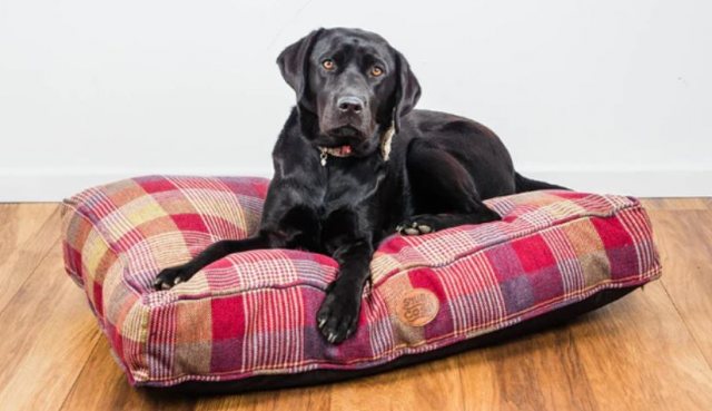 Snug & Cosy Snug & Cosy Highland Mulberry Dog Lounger