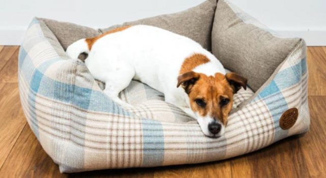 Snug & Cosy Snug & Cosy Highland Bluebell Dog Bed