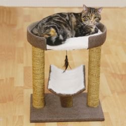 Rosewood Saffron Cat Scratch Post