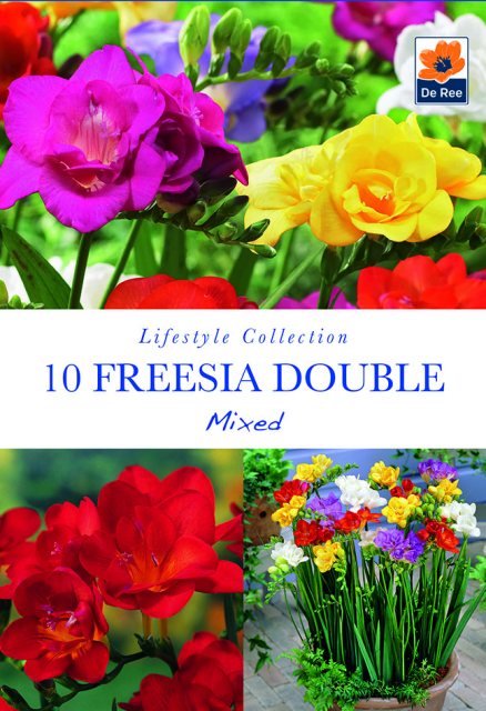 De Ree Freesia Double Mixed Bulb