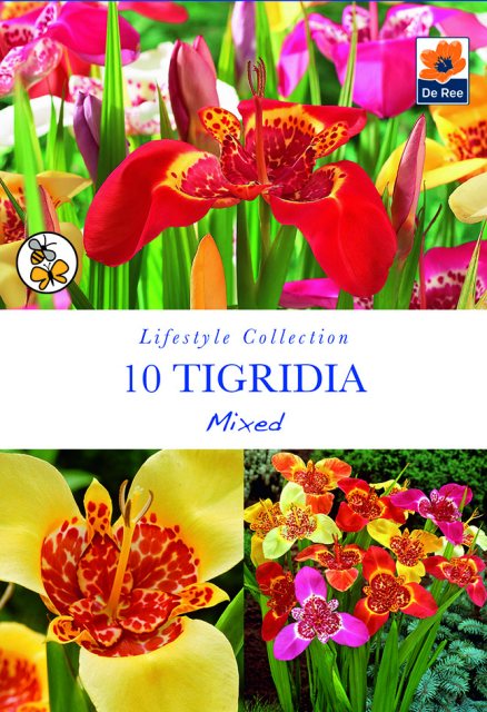 De Ree Tigridia Mixed Bulb