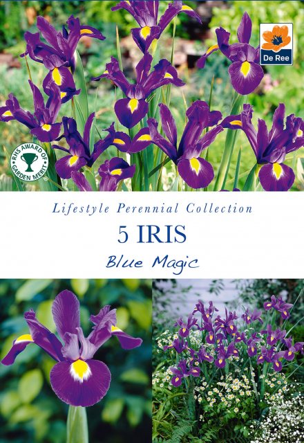 De Ree Iris Blue Magic Bulb
