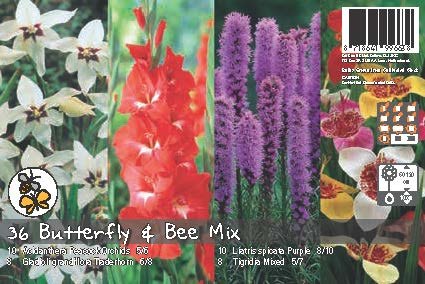 De Ree Butterfly & Bee Mix Bulb