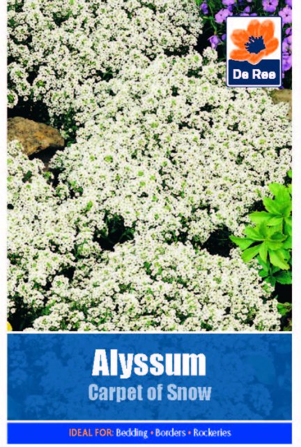 De Ree Alyssum Carpet Of Snow Seed