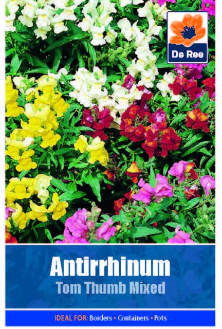 De Ree Antirrhinum Tom Thumb Seed
