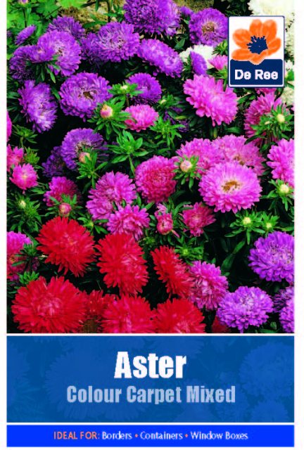 De Ree Aster Colour Carpet Mix Seed