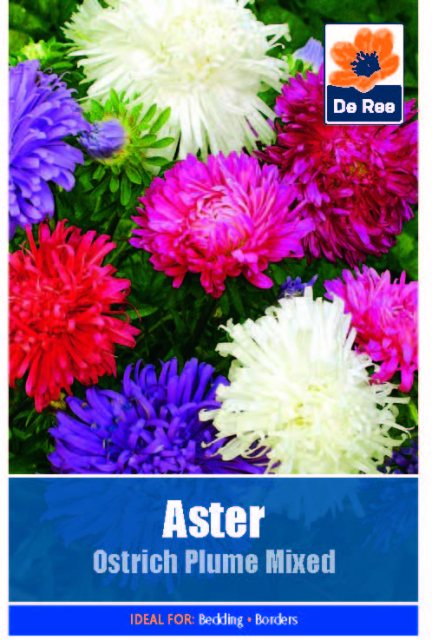 De Ree Aster Ostrich Plume Mix