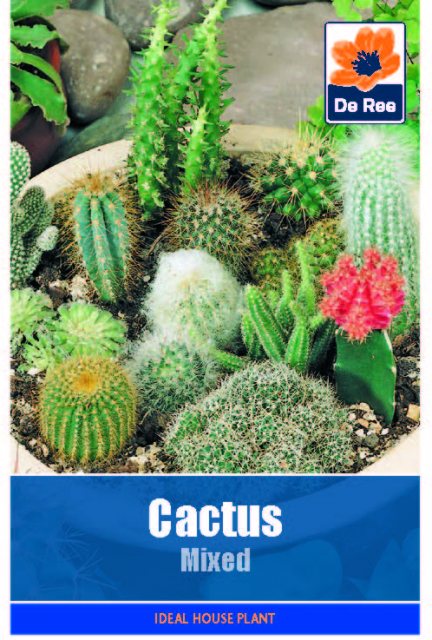 De Ree Cactus Mixed Seed