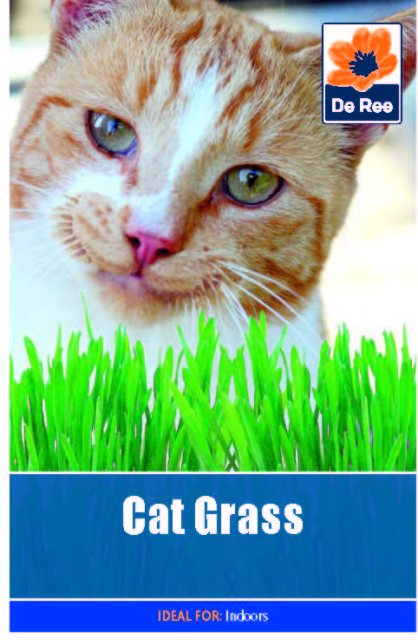 De Ree Cat Grass Seed