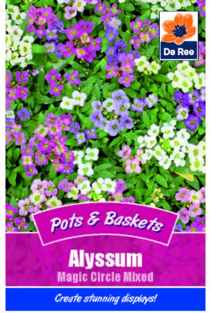 De Ree Alyssum Magic Circle Seed