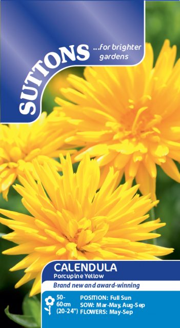 SUTTONS Suttons Calendula Porcupine Yellow Seeds
