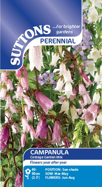 SUTTONS Suttons Campanula Cottage Garden Mix Seeds