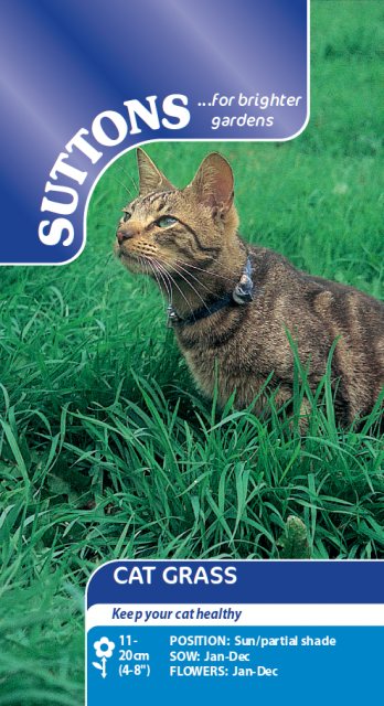 SUTTONS Suttons Cat's Grass Seeds