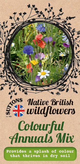 SUTTONS Suttons Wildflower Colourful Annuals Mix Seeds