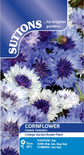 SUTTONS Suttons Cornflower Classic Fantastic Seeds