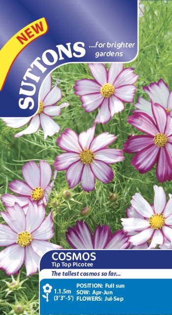 SUTTONS Suttons Cosmos Tip Top Picotee Seeds