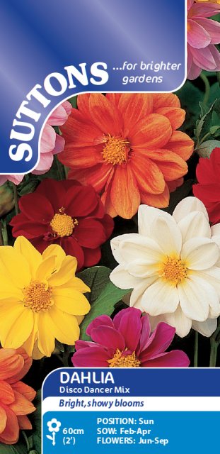 SUTTONS Suttons Dahlia Disco Dancer Mix Seeds