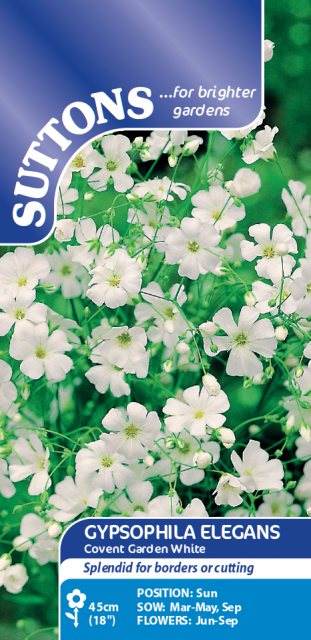 SUTTONS Suttons Gypsophila Elegans Covent Garden White Seeds