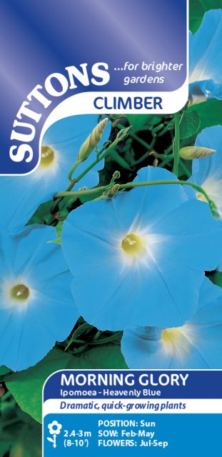 SUTTONS Suttons Morning Glory Ipomoea Heavenly Blue Seeds