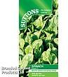 SUTTONS Suttons Spinach Patton F1 Seeds