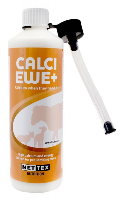 Nettex Calci Ewe 500ml