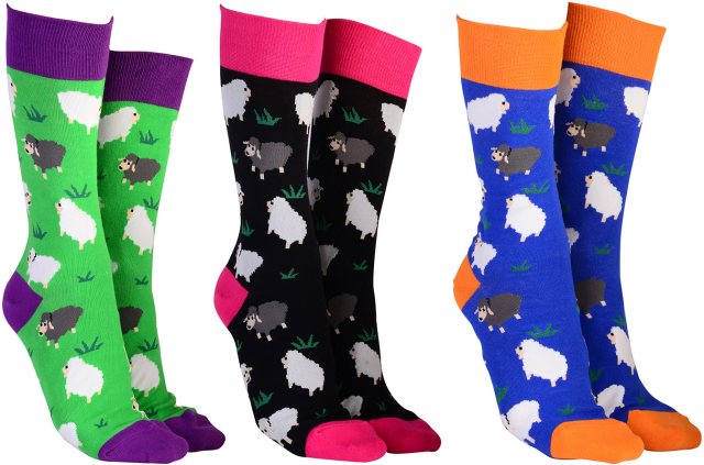 Sock Society Sock Society Phase 7 Sheep Sock Assorted