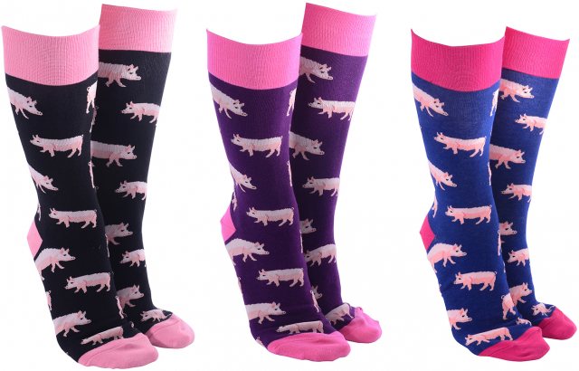 Sock Society Sock Society Phase 7 Piggies Sock Assorted