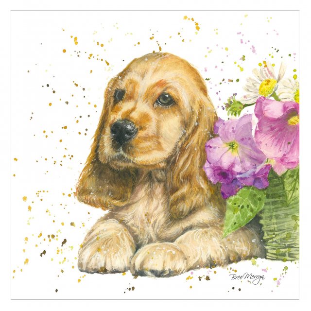 Bree Merryn Cody Dog Card