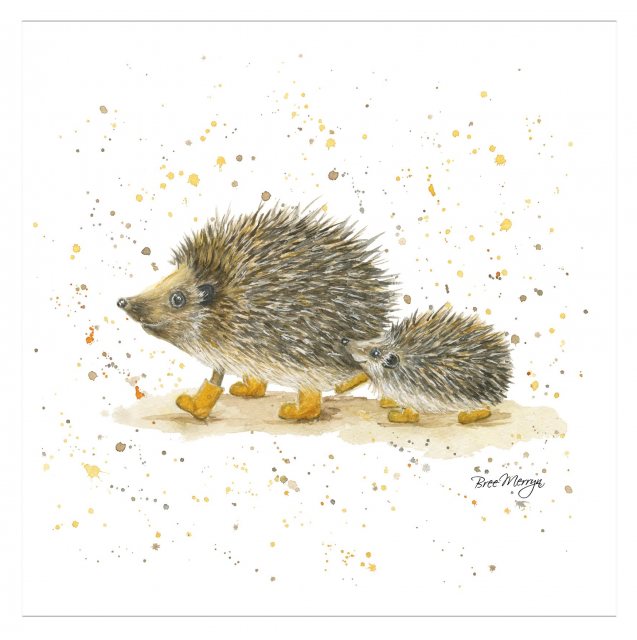 Bree Merryn  Bree Merryn Hedgie Hike Card