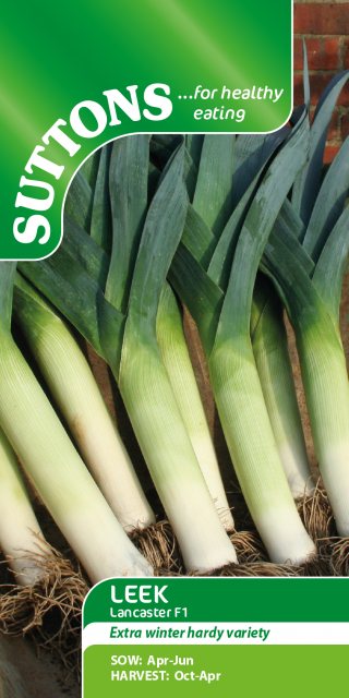 SUTTONS Suttons Leek Lancaster F1 Seed