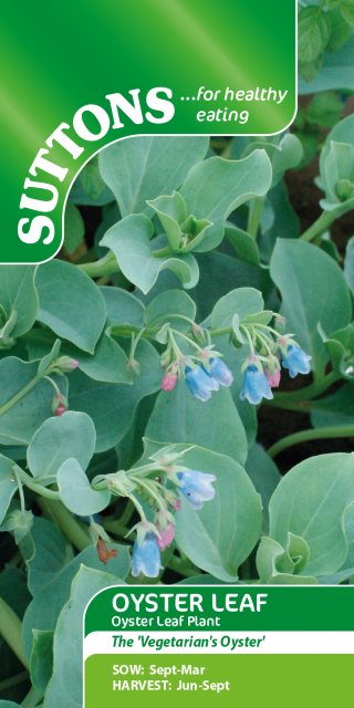 SUTTONS Suttons Oyster Leaf Seed